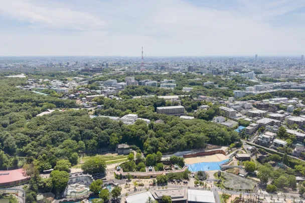 名古屋市昭和区でおすすめの不動産屋を徹底解説！