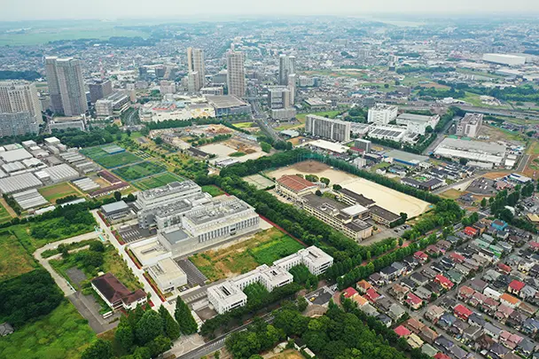 柏市で不動産屋を探すならここ!おすすめ企業と選び方を徹底解説