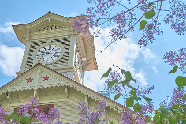 札幌市でおすすめの不動産屋を徹底比較！失敗しない選び方と人気エリア解説