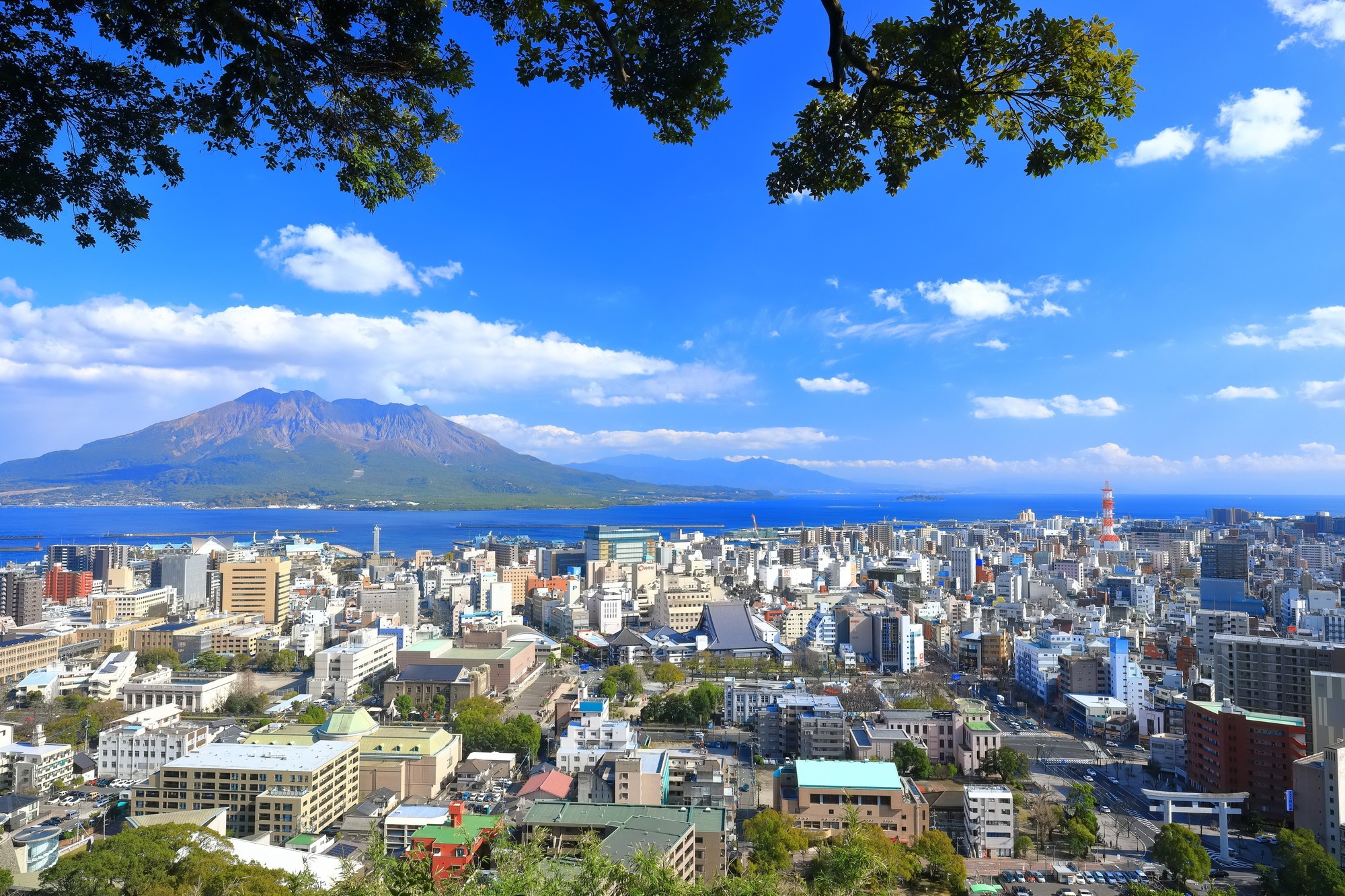 鹿児島市でおすすめの注文住宅ハウスメーカー・工務店9選