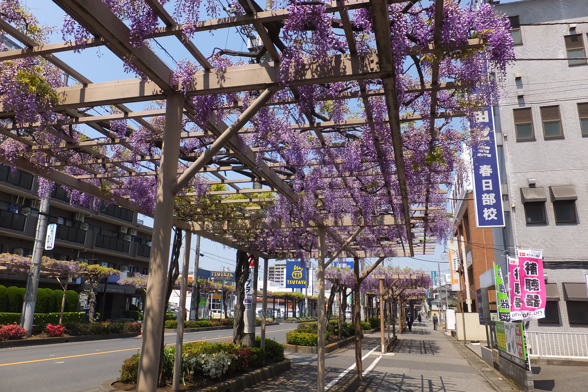 【子育て世帯にうれしい教育都市】春日部市