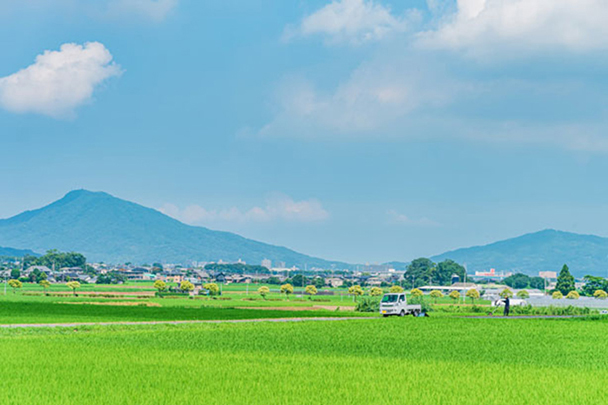 田舎の空き家活用アイデア7選!意外な収益化方法も