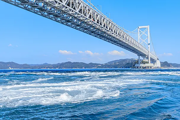 【徳島県編】空き家買取の特徴や業者の選び方を徹底解説！