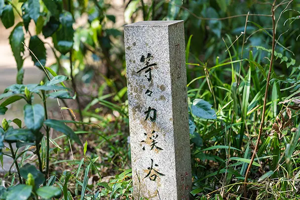 世田谷区の空き家が増える背景と問題点