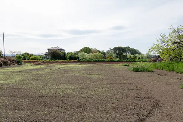 400坪の土地活用を徹底解説！広い敷地を生かした最適プランと注意点