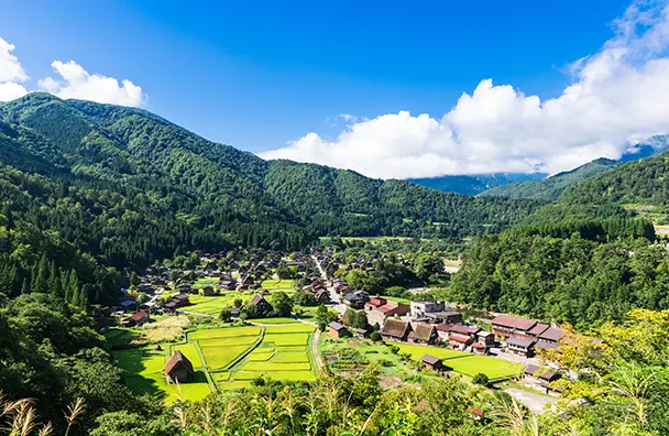 田舎の空き地活用方法10選をご紹介！成功のポイントと始め方についても解説！