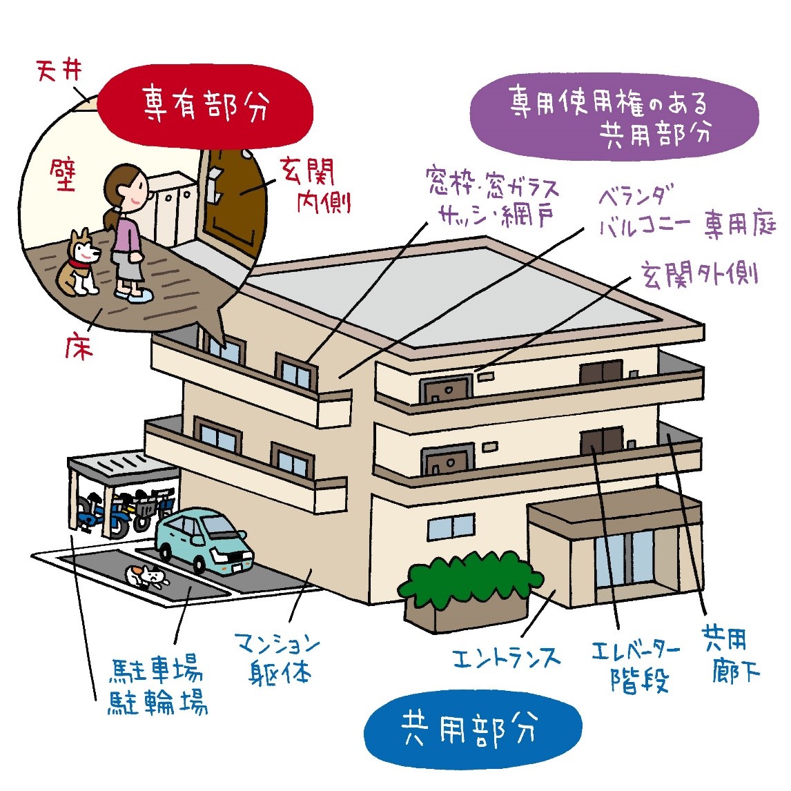 マンション特有の規約と制約について