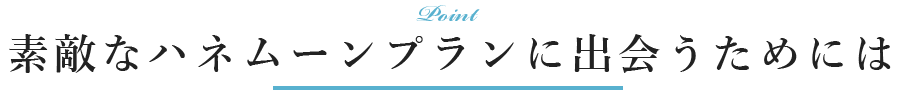 素敵なハネムーンプランに出会うためには