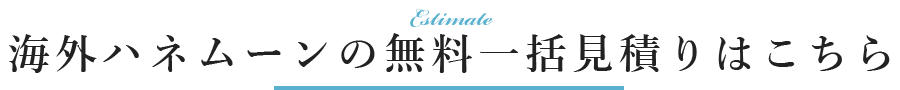 海外ハネムーンプラン無料一括見積りはこちら