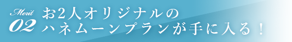 メリット2お２人オリジナルのハネムーンプランが手に入る！