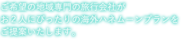 ご希望の地域専門の旅行会社がお2人にぴったりの海外ハネムーンプランをご提案いたします。