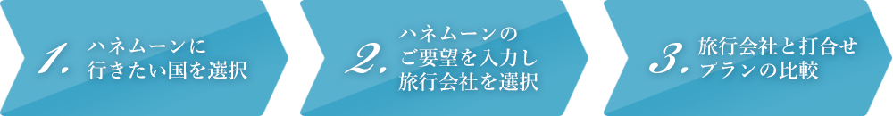 1.ハネムーンに行きたい国を選択2.ハネムーンのご要望を入力し旅行会社を選択3.旅行会社と打合せプランの比較