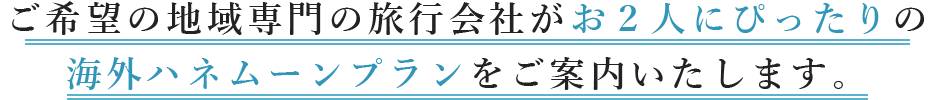 ご希望の地域専門の旅行会社があなたぴったりの海外ハネムーンプランをご案内いたします。