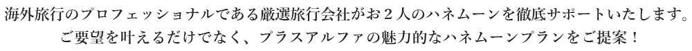 海外旅行のプロフェッショナルである厳選旅行会社があなたのハネムーンを徹底サポートいたします。ご要望を叶えるだけでなく、プラスアルファの魅力的なハネムーンプランをご提案！