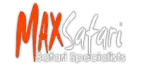 logo41